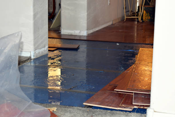 Professional Flood Cleanup technician working in Roslindale, MA